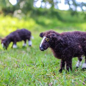 Felting with the Flock