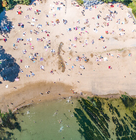 Sunny Daze - Myrtleville Beach Sunny Daze - Myrtleville Beach
