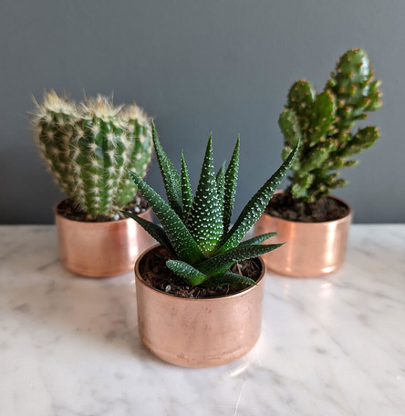 Copper Planter