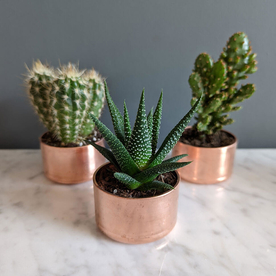 Copper Planter
