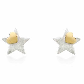 You're A Star With A Heart of Gold Earrings
