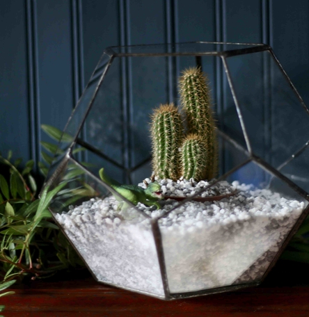 Large Dodecahedron Terrarium