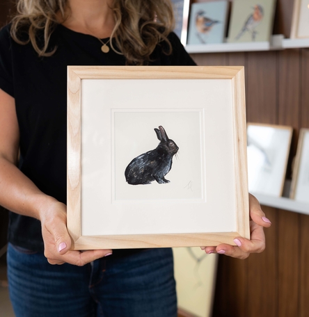 Wild Black Rabbit Wild Black Rabbit