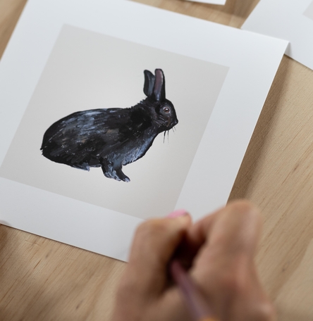 Wild Black Rabbit Wild Black Rabbit