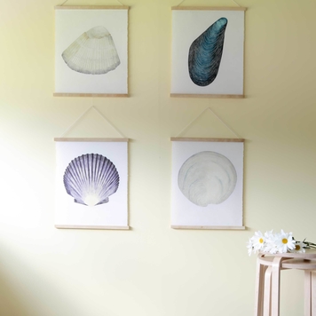 Sea Shell Print Bundle